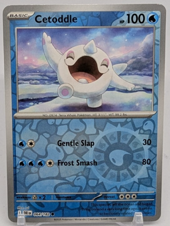 🔥Pokemon CETODDLE 064/182 - Destined Rivals - Rev Holo - MINT