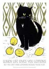 WHEN LIFE GIVES YOU LEMONS by Jo Cox Non-book item Self Help Business