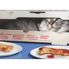 Avanti Press Gray Cat Hiding in Pizza Box Funny Just For Fun Card