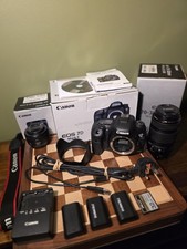 Canon 7D Mark II + Canon EF 70-300mm 1:4–5.6 IS USM + Canon EF 50mm 1:1.8 STM