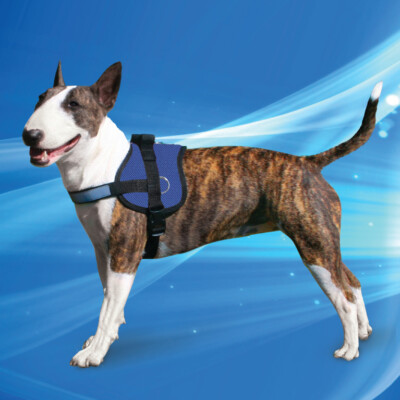 Hunde Geschirr KÜHLGESCHIRR kühlt Aqua Coolkeeper Cooling Survival Harness 