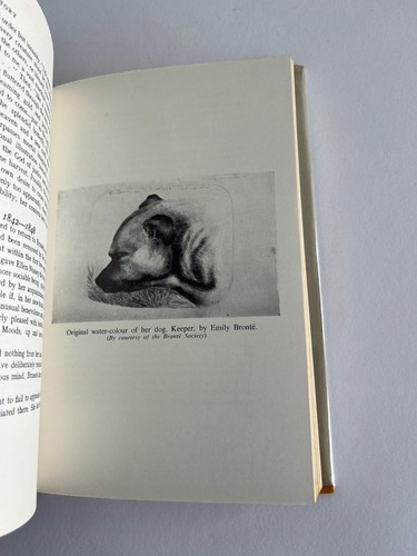 EMILY BRONTE Her Life & Work ~ Muriel Spark & Derek Stanford ~ 1st Edition 1960 - Picture 8 of 12