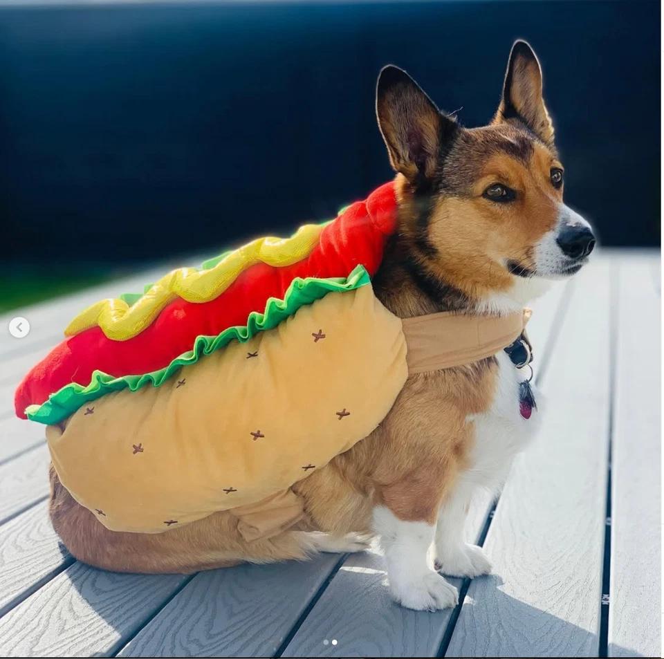 Divertido Disfraz de Perro Caliente - Traje de Mascota de Halloween para Perros Pequeños y Medianos Foto 3 de 4