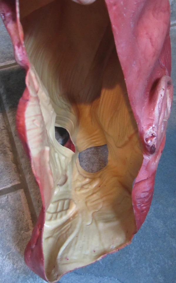 Skinner Mask Skinned Face Scary Monster Halloween Adult Costume Rubies 2006 - Image 4 of 4