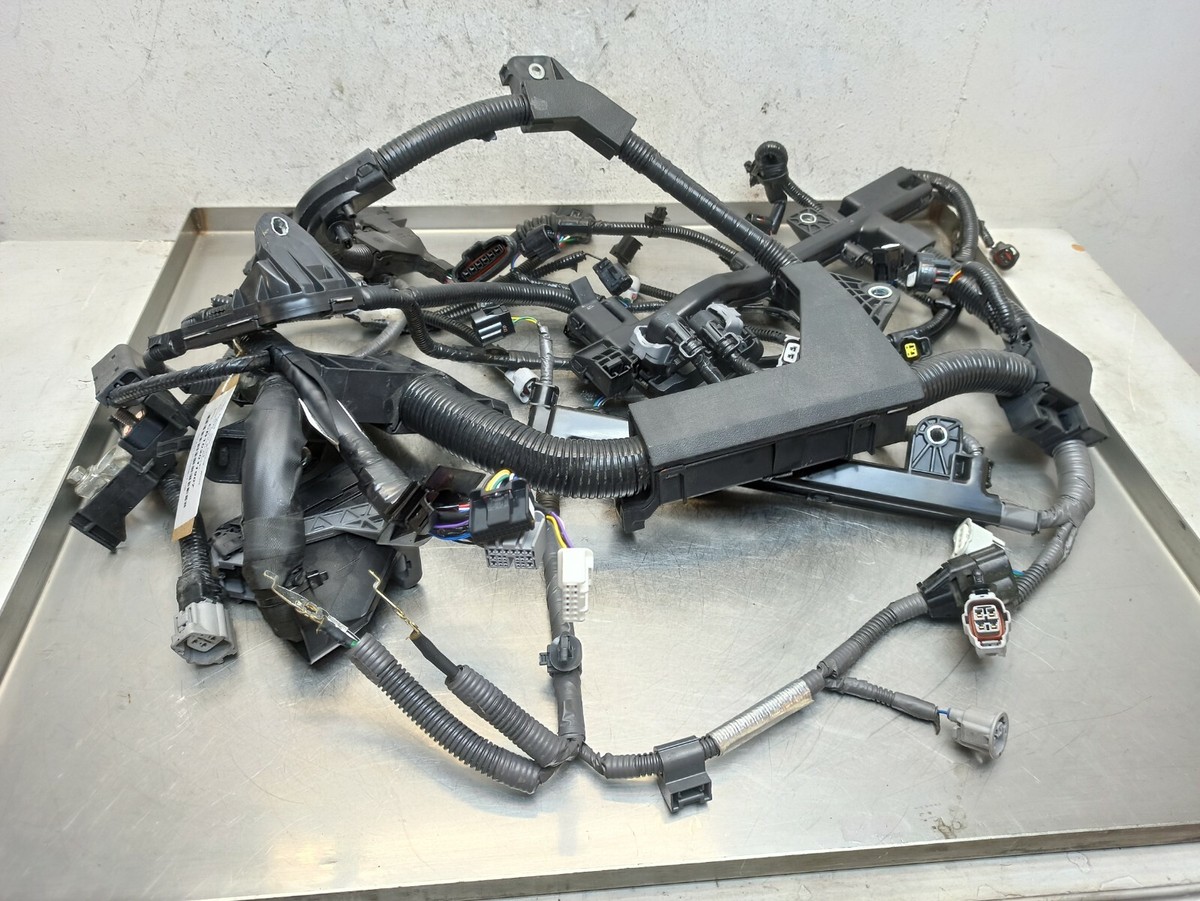 ライガー Toyota Corolla 2018-2021 1.8 Hybrid Engine Wiring Loom