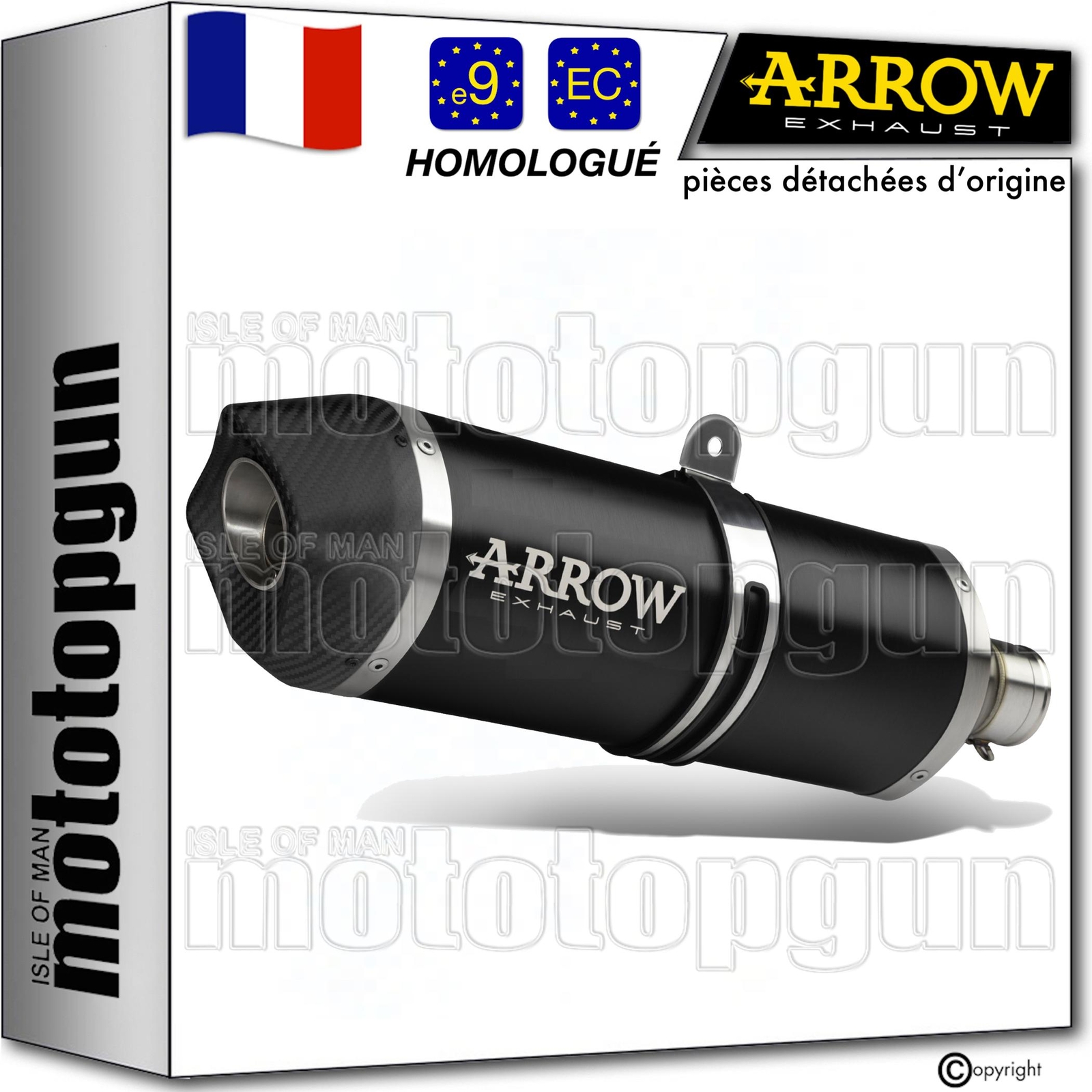 Silencieux moto Arrow noir homologué BMW R 1250 R 2019 ligne Maxi Race-Tech