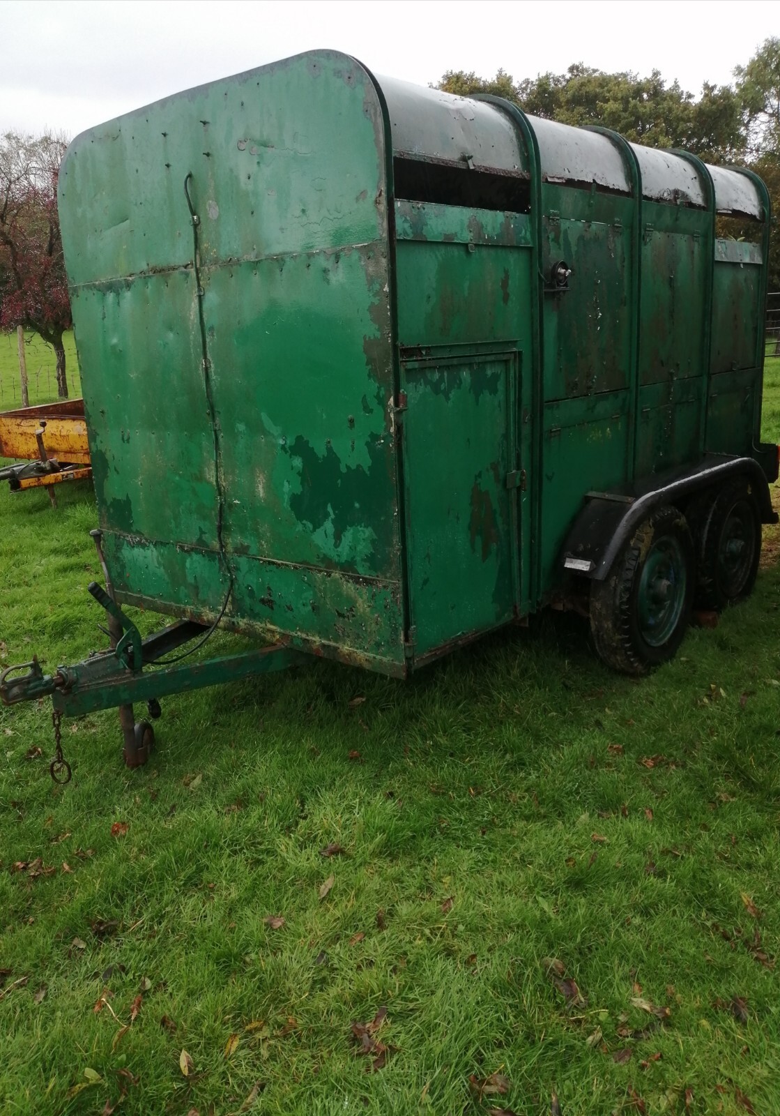 10ft IFOR WILLIAMS LIVESTOCK TRAILER eBay