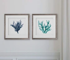 Wexford Home Sea Coral -2 Piece Set Art Print, 16X16, Silver