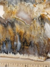 Graveyard Point Plume Agate beautiful Large Slab (11.55Ounces, 328Grams)
