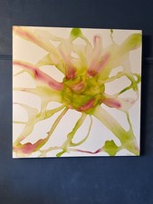 Phillipe Aird arte astratta su tela, blu nero e arancione