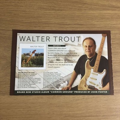 MUSIC43 ZEITSCHRIFTENWERBUNG 5X8 WALTER FORELLE: GEMEINSCHAFT