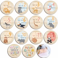 Baby Monthly Milestone Cards Wooden Circles Newborn Announcement Sign Gift