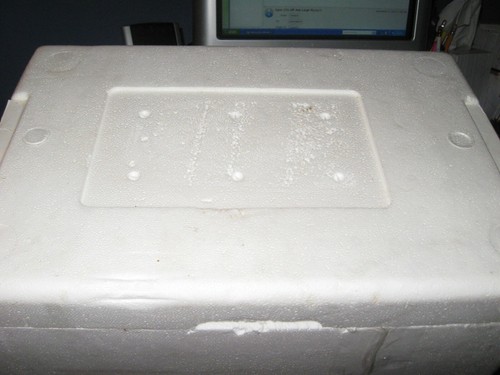 2 Styrofoam Insulated Shipper Shipping Cooler Box 15" x 10" x 11" External - Picture 5 of 12