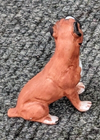 Foto 2 di 5