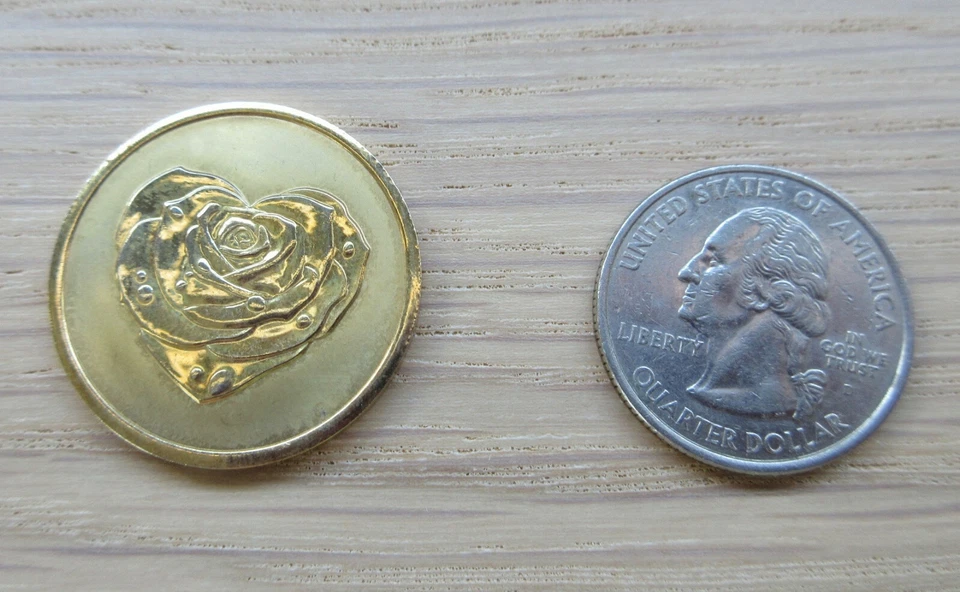 Moneda Moneda Moneda MI MONEDA Mediana Oro Amarillo Sobre Rosa Inoxidable/Debido a Ti NUEVA DIFÍCIL DE ENCONTRAR Foto 3 de 4