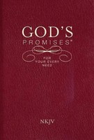 Thomas Nelson | God's Promises For Your Every Need, Nkjv | Taschenbuch (2008)