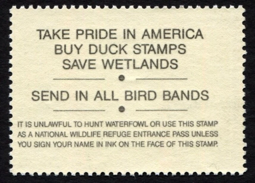 RW58 MNH FINE 1991 King Eiders US Federal Duck Stamp Migratory Waterfowl - Image 3 of 3