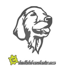 Golden Retriever Dog Metal Wall Art Hanging Home Decor