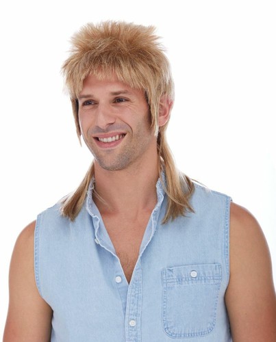 80S MENS MALE MULLET COSTUME WIG TRAILER PARK JOE DIRT TIGER REDNECK EXOTIC KING - Picture 5 of 5