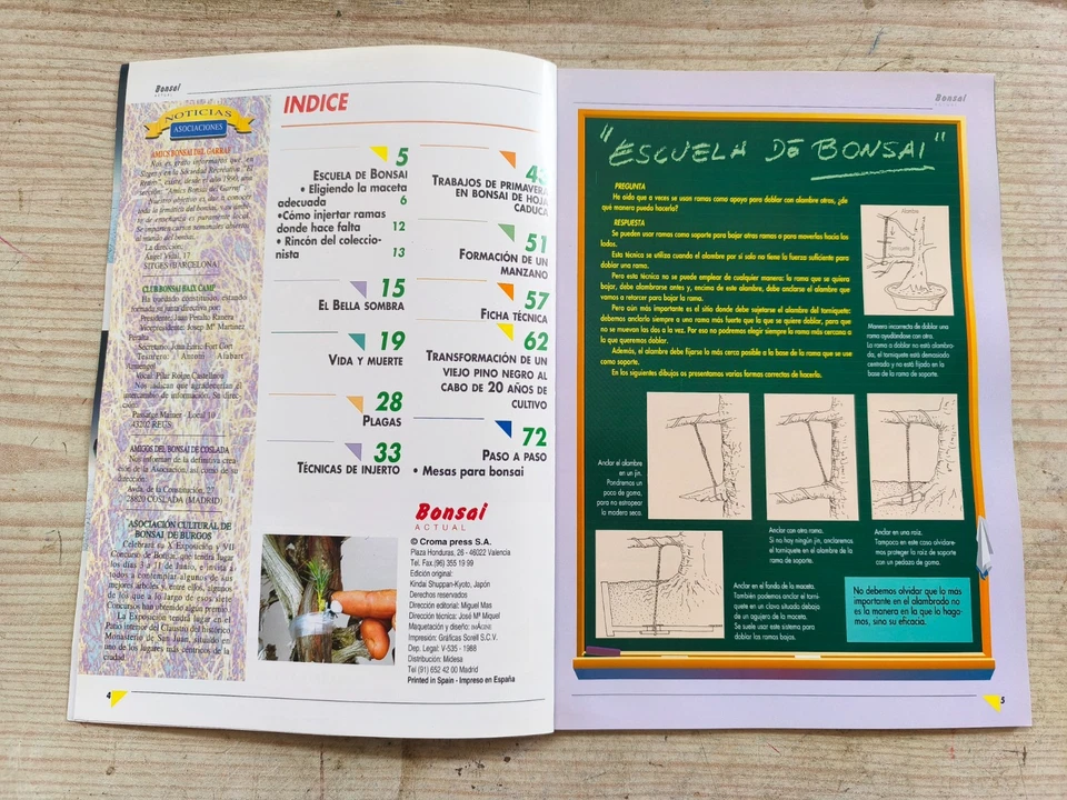 Revista Bonsai Actual - Numero 44 - Imagen 2 de 4