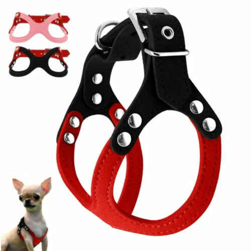 Harnais de promenade en cuir pour chien