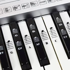 Piano and Keyboard  Full Set Stickers for White and Black Keys 