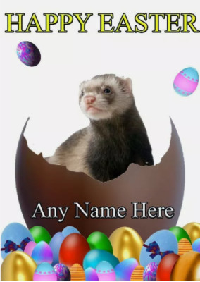 Frettchen personalisierte Ostern Grußkarte Mama Papa Nan Freund refSe1