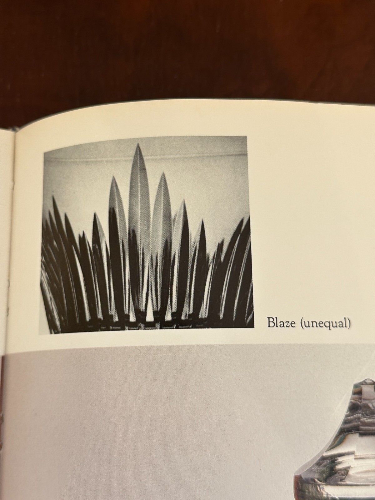 Picture 4 of 18