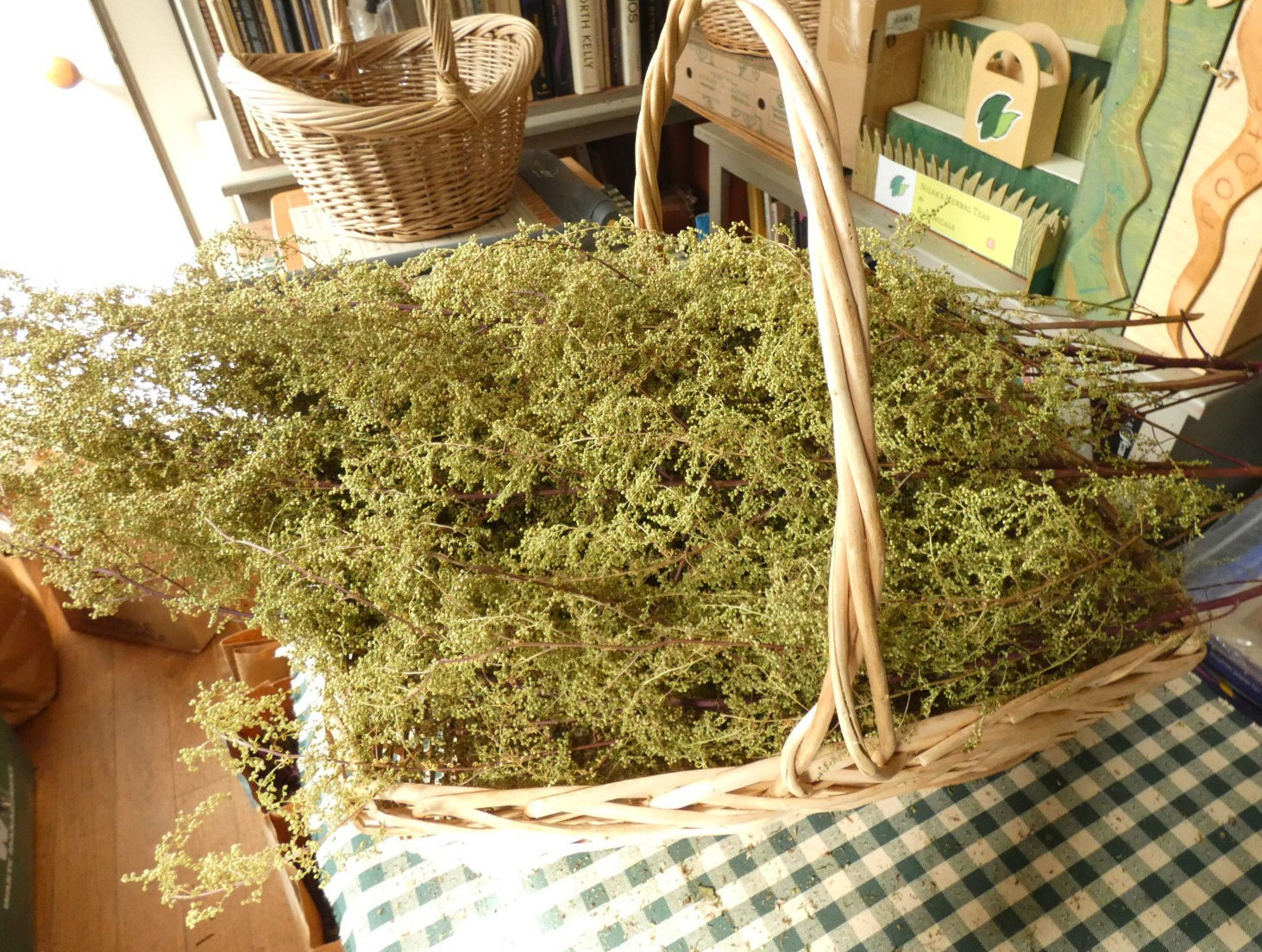 Sweet Annie Bundles~Free Shipping