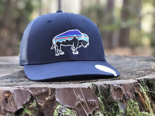 Patagonia Fitz Roy Bison Trucker Hat - White