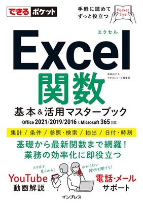 Pocket Excel Functions: Basic & Advanced Master Book Compatible with Office