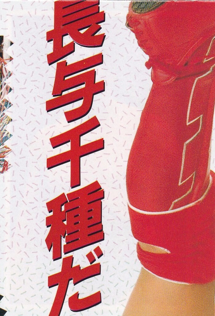 Akira Maeda 1989 BBM Japan IWGP Pro Wrestling Trading Card WWF