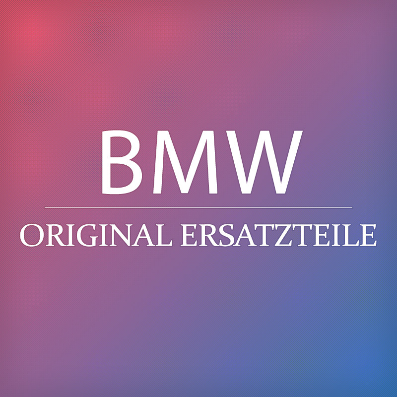 Original BMW M3 E46 318Ci 320Ci 323Ci Schliessraste  