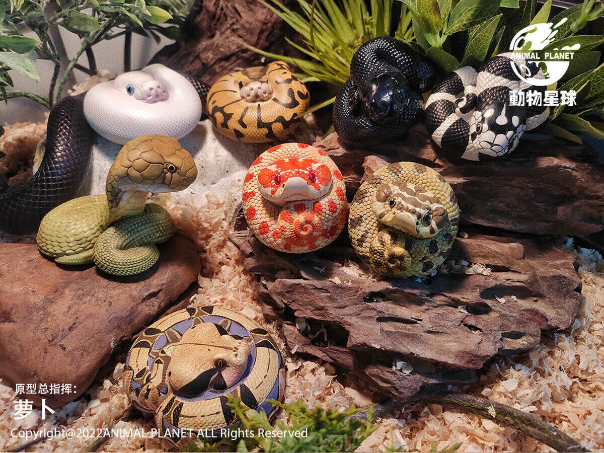 Animal Planet A Series of Laugh and Grow Fat 05 Blind Box Snake