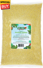 Organic Hulled Millet Bird Seed - Bird Food for Canary, Finches, Small Wild Bird