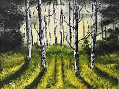 Forest Birch Trees, Sunlight Shadows Original Oil Painting 11x14  Canvas
