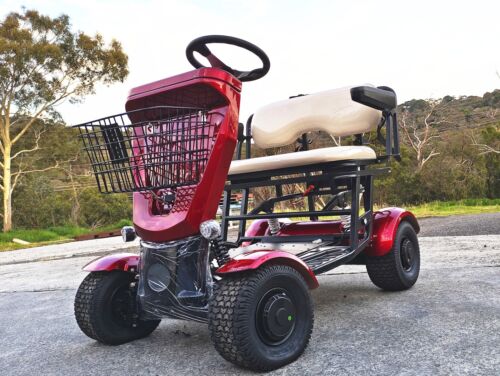 UPGRADED NEW TWIN SEATER GOLF CART 4 WHEELS DRIVE 3200W Lithium mobility scooter - Foto 1 di 7