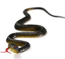 Realistic 45cm Rubber Snake - Perfect Scary Prank for Halloween Outdoors