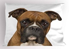Ambesonne Boxer Dog Pillow Sham, Front View 2-Year-Old Purebred Animal 26x20"