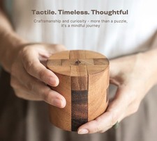 3D Wooden Puzzle Brain Teaser for Adults Interlocking Mechanical