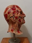 Foto 6 di 10