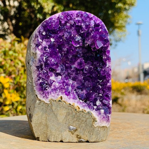 1.85LB Natural Amethyst Cluster Quartz Crystal Druzy Geode Stone Reiki Healing - Picture 7 of 10