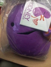 Kidney Plush, Stuffed Body Organ Toy for Get Well Gift & Health Education 9x7