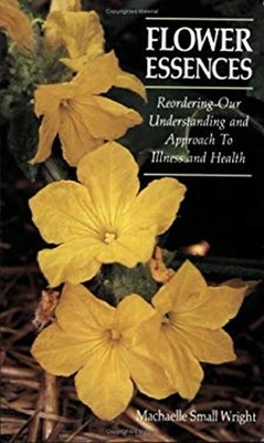Flower Essences : Reordering Our Understanding and Approach to Il