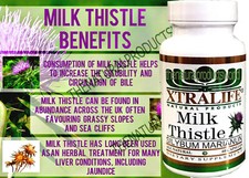 capsules MILK THISTLE CARDO MARIANO 800 mg PER SERVING