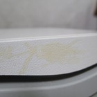 Picture 4 of 7