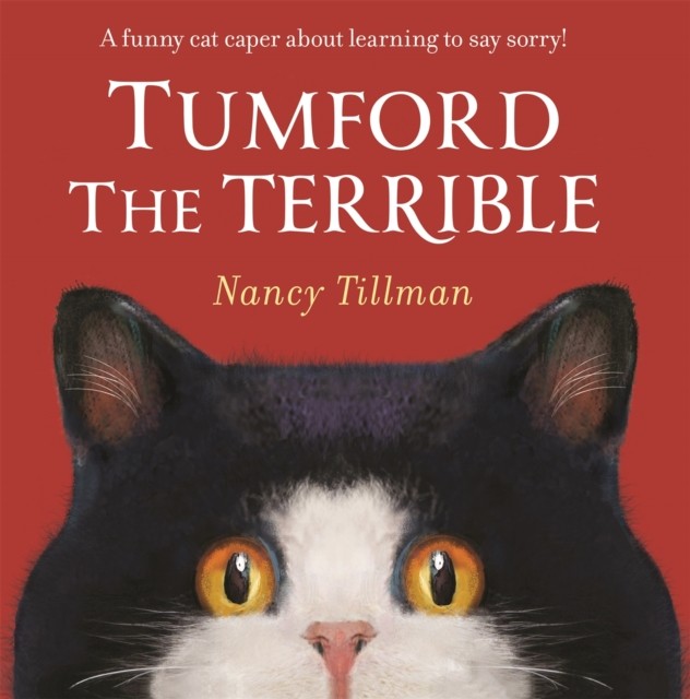Tumford the Terrible by Nancy Tillman (Paperback Book) - Image 4