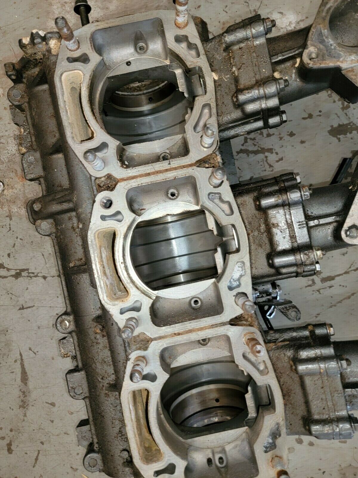 Tigershark TS-R1000 TS 1000 monte carlo crank case crankcase engine block lower