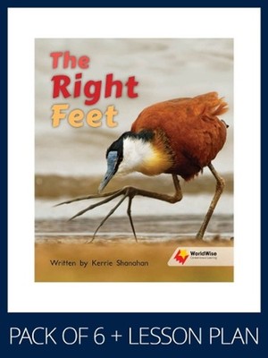 WorldWise Guided Reading Pack Level 11-12, Pack 2: Student book (x6) and lesson