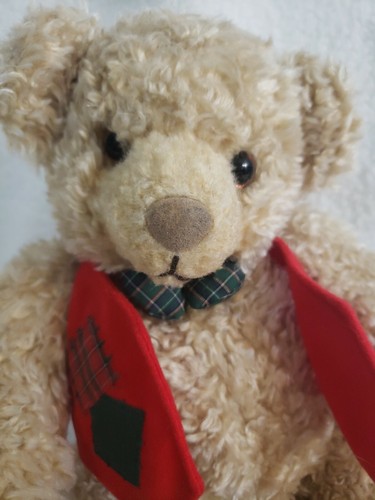 Hallmark Holiday Tyler Teddy New Home plush bear 10" red vest patchwork - Picture 2 of 7